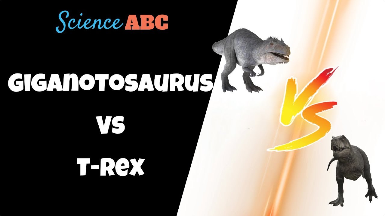 Giganotosaurus vs. T Rex: Who Was The Deadliest Predator?